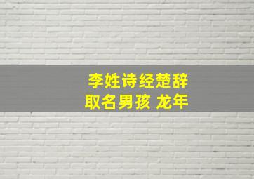 李姓诗经楚辞取名男孩 龙年